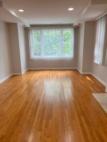 218 S Hamilton Avenue 2S, Chicago, IL 60612
