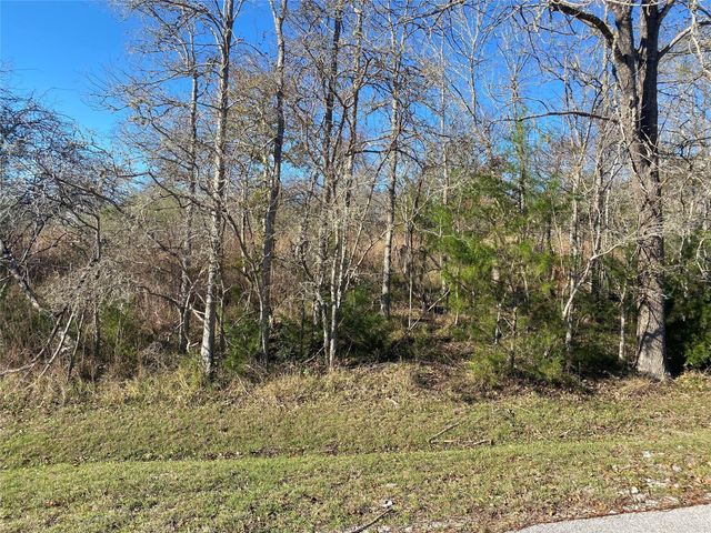 61 Piping Rock Place, Coldspring, TX 77331