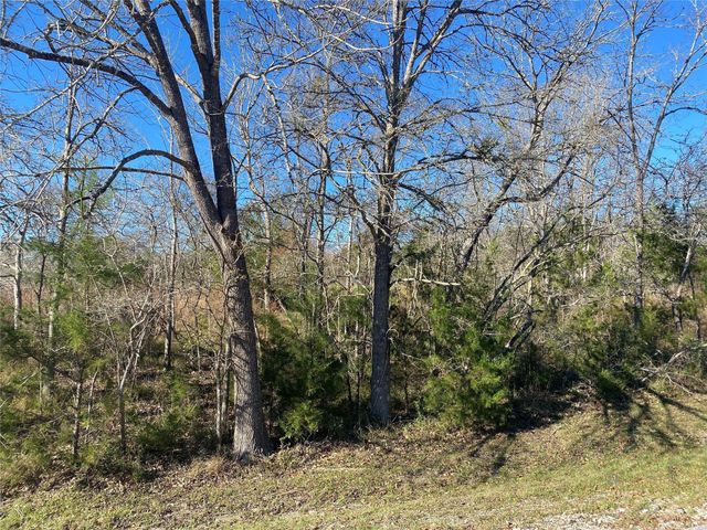 61 Piping Rock Place, Coldspring, TX 77331