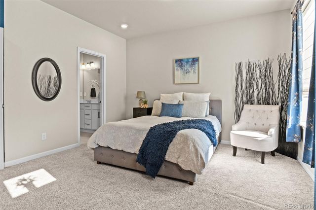 409 Millwall Circle, Castle Rock, CO 80108