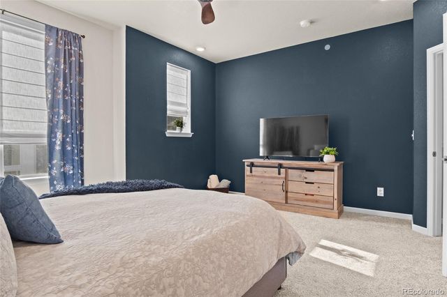 409 Millwall Circle, Castle Rock, CO 80108