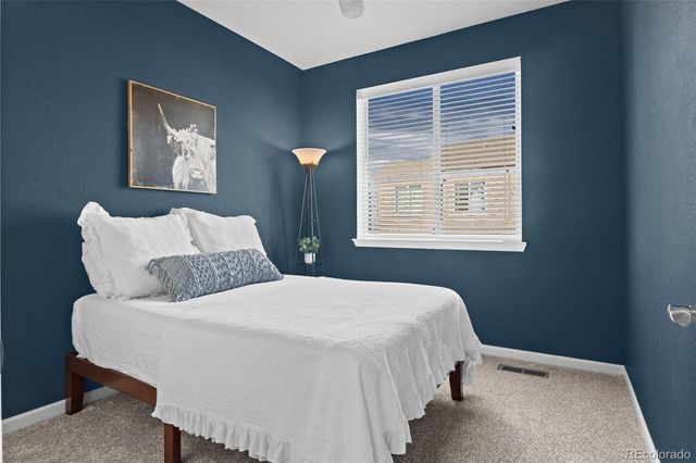 409 Millwall Circle, Castle Rock, CO 80108