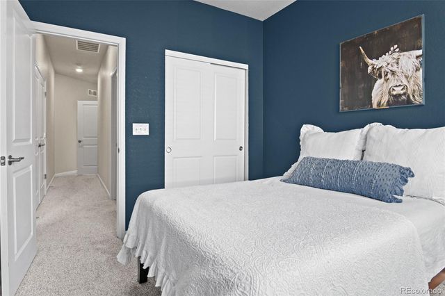 409 Millwall Circle, Castle Rock, CO 80108