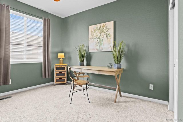 409 Millwall Circle, Castle Rock, CO 80108