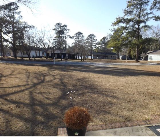 1198 Moultrie Drive, Manning, SC 29102