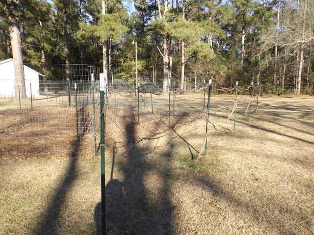 1198 Moultrie Drive, Manning, SC 29102