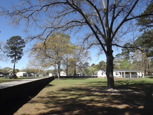 1198 Moultrie Drive, Manning, SC 29102