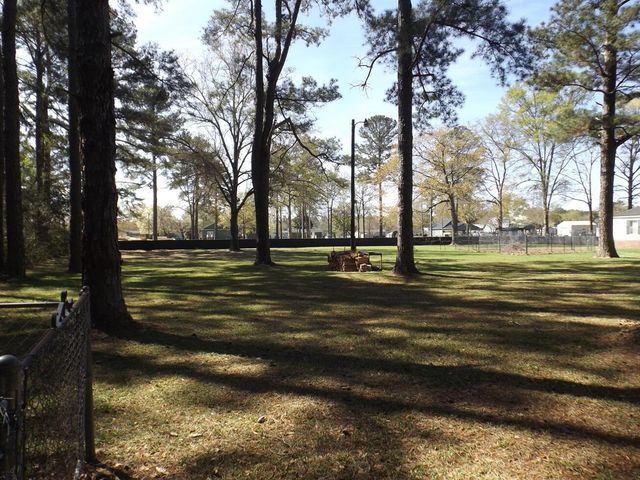 1198 Moultrie Drive, Manning, SC 29102