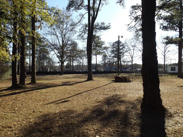 1198 Moultrie Drive, Manning, SC 29102