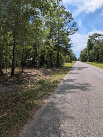 0 NE 220TH STREET, Fort Mc Coy, FL 32134