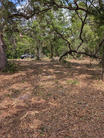 0 NE 220TH STREET, Fort Mc Coy, FL 32134