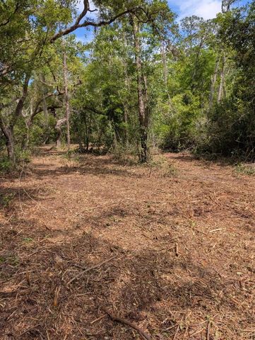 0 NE 220TH STREET, Fort Mc Coy, FL 32134