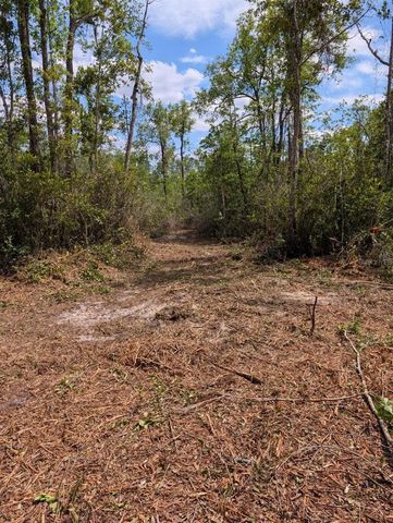 0 NE 220TH STREET, Fort Mc Coy, FL 32134