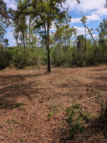 0 NE 220TH STREET, Fort Mc Coy, FL 32134