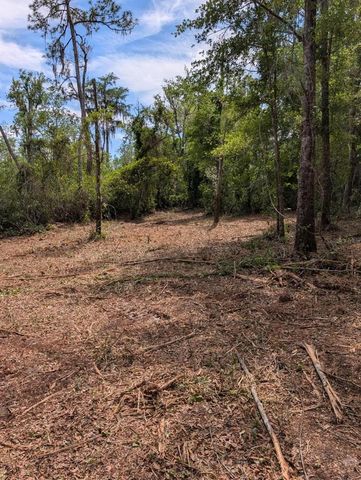 0 NE 220TH STREET, Fort Mc Coy, FL 32134