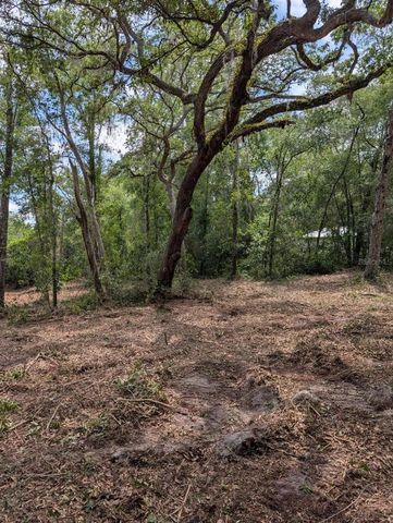 0 NE 220TH STREET, Fort Mc Coy, FL 32134