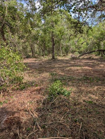 0 NE 220TH STREET, Fort Mc Coy, FL 32134