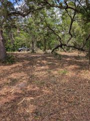0 NE 220TH STREET, Fort Mc Coy, FL 32134