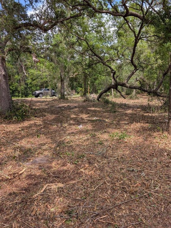 0 NE 220TH STREET, Fort Mc Coy, FL 32134