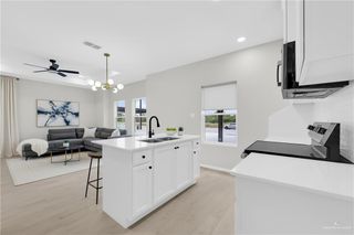 205 E Royal Palm Drive, Mercedes, TX 78570