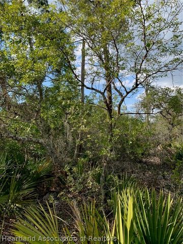 4718 Grand CONCOURSE Course, Sebring, FL 33875