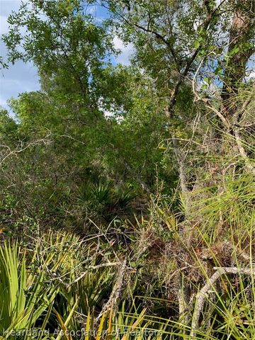 4718 Grand CONCOURSE Course, Sebring, FL 33875