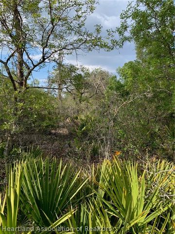 4718 Grand CONCOURSE Course, Sebring, FL 33875