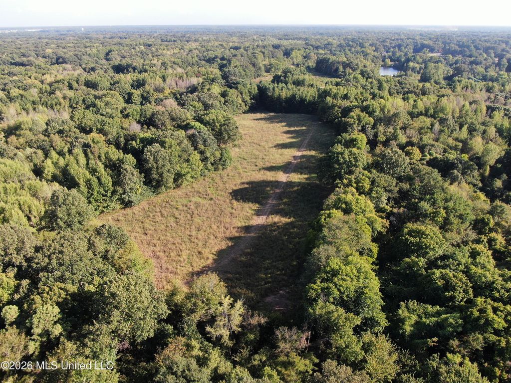 5 Star Landing Road, Nesbit, MS 38651 — exterior