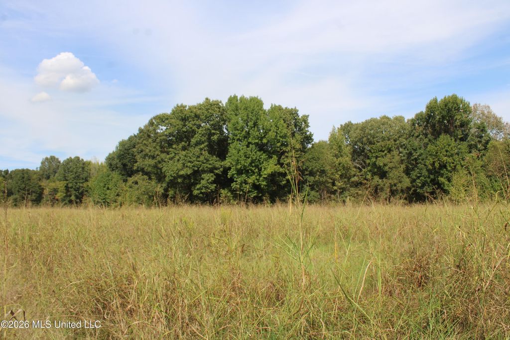 5 Star Landing Road, Nesbit, MS 38651 — photo 2