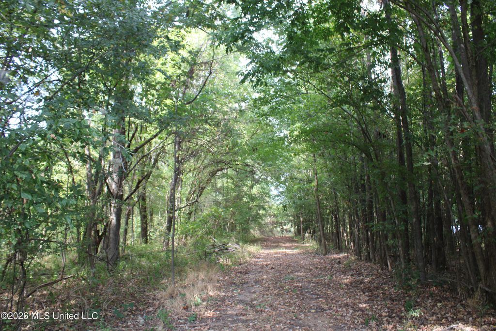 5 Star Landing Road, Nesbit, MS 38651 — photo 3