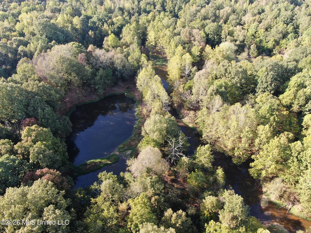 5 Star Landing Road, Nesbit, MS 38651 — photo 4