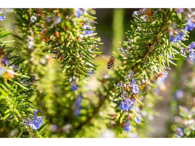 20386 Sw JAY St, Beaverton, OR 97003