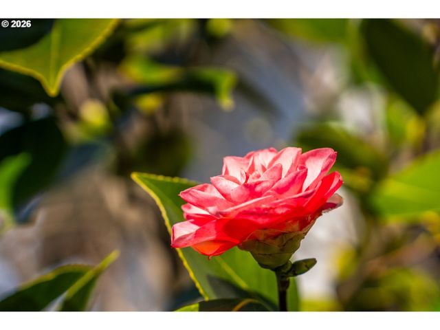 20386 Sw JAY St, Beaverton, OR 97003