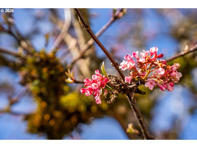 20386 Sw JAY St, Beaverton, OR 97003