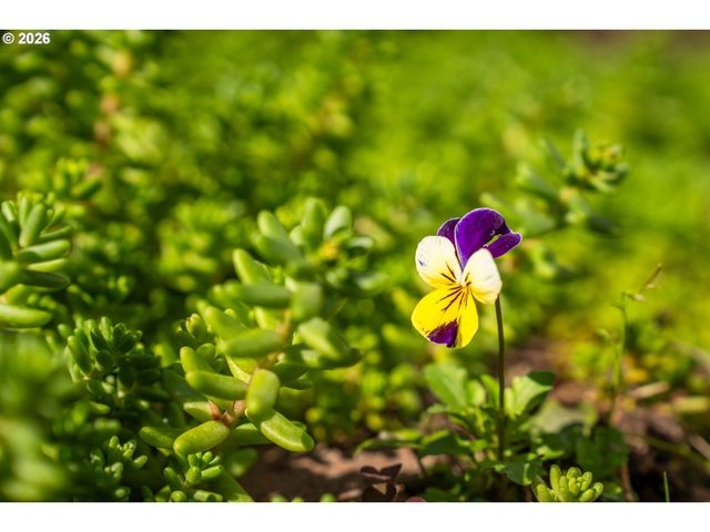 20386 Sw JAY St, Beaverton, OR 97003