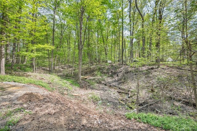 8556 Barbara Drive, Mentor, OH 44060