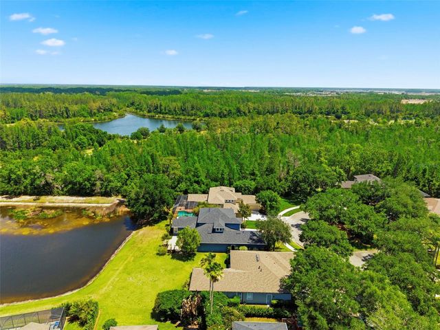 20629 WILD PLUM COURT, Land O Lakes, FL 34637