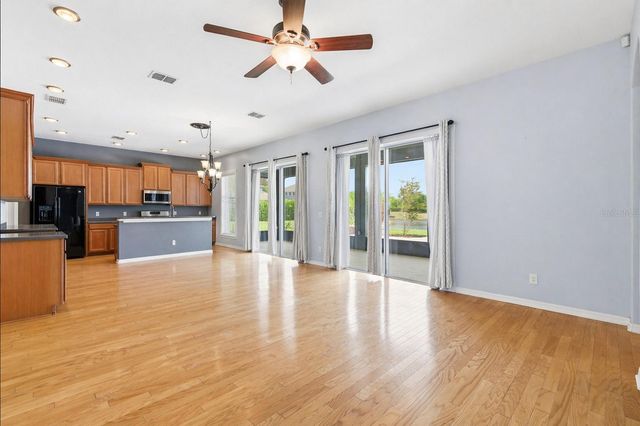 20629 WILD PLUM COURT, Land O Lakes, FL 34637