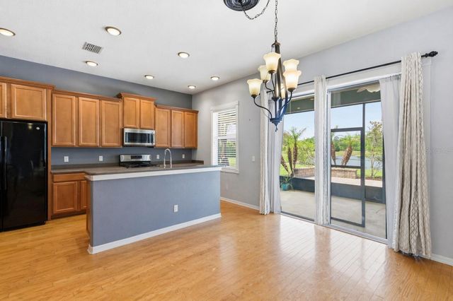20629 WILD PLUM COURT, Land O Lakes, FL 34637