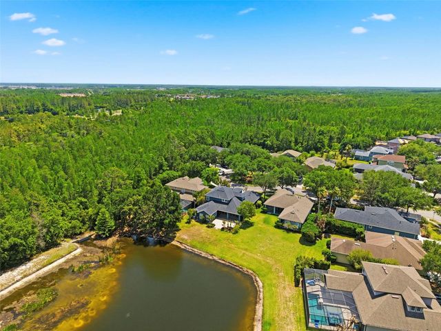 20629 WILD PLUM COURT, Land O Lakes, FL 34637
