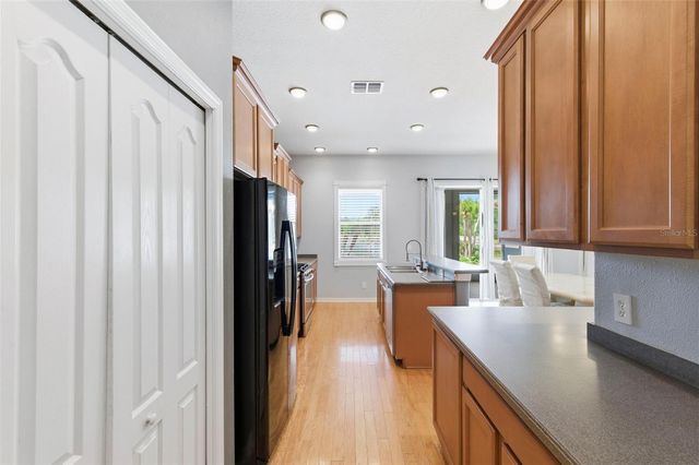 20629 WILD PLUM COURT, Land O Lakes, FL 34637
