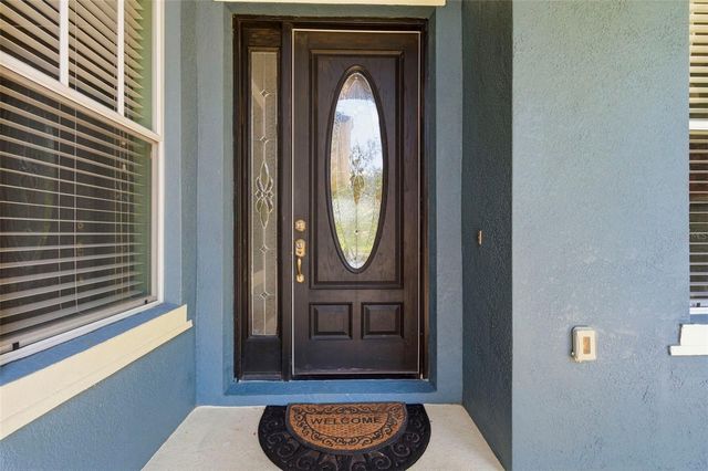 20629 WILD PLUM COURT, Land O Lakes, FL 34637