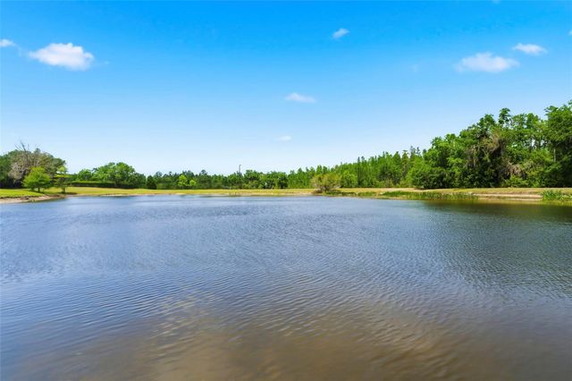 20629 WILD PLUM COURT, Land O Lakes, FL 34637