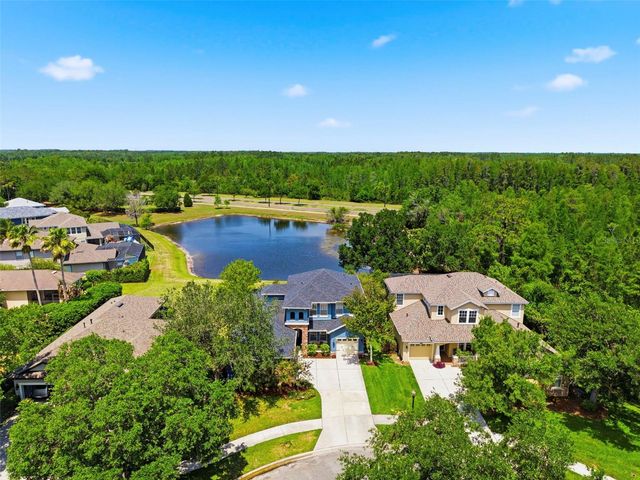 20629 WILD PLUM COURT, Land O Lakes, FL 34637