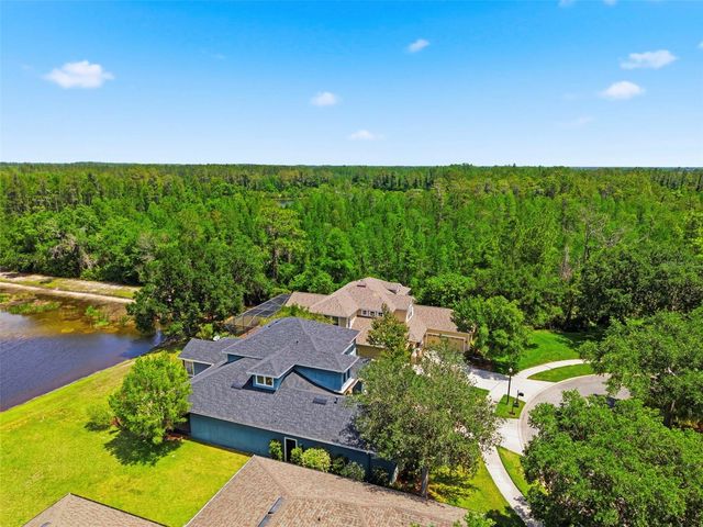 20629 WILD PLUM COURT, Land O Lakes, FL 34637