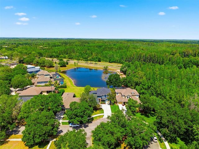 20629 WILD PLUM COURT, Land O Lakes, FL 34637