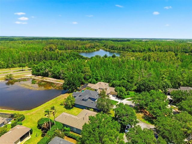 20629 WILD PLUM COURT, Land O Lakes, FL 34637