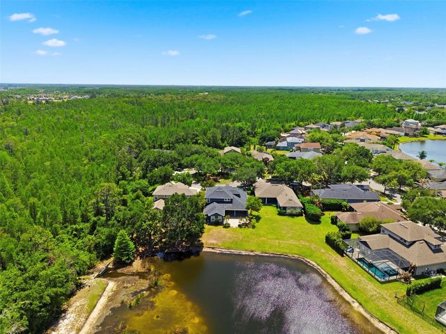20629 WILD PLUM COURT, Land O Lakes, FL 34637