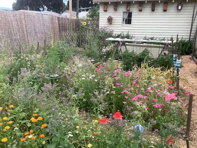 272 S ALDER St, Colville, WA 99141