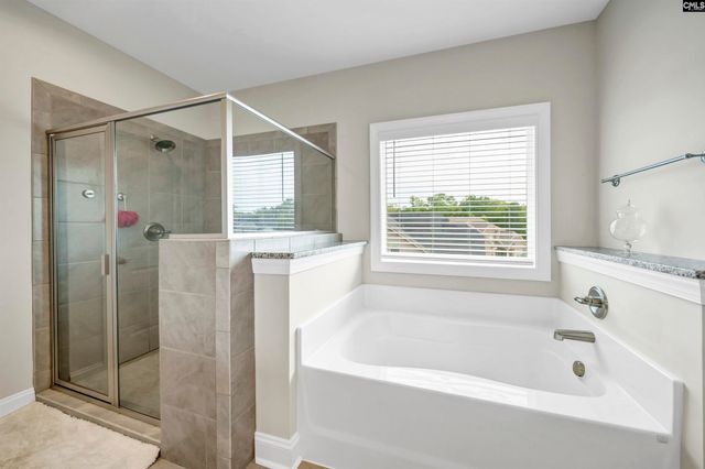 304 Springbrook Way, Chapin, SC 29036